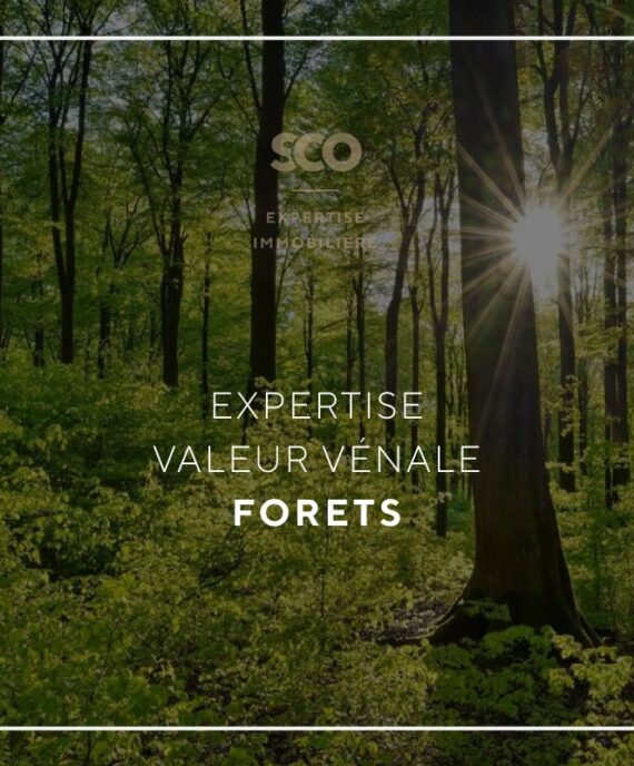 Expertise Valeur Vénale Forêts